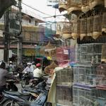 Market, Hanoi, 2008 