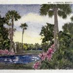 Postcard, hand colored postcard tiles for Miami residence.